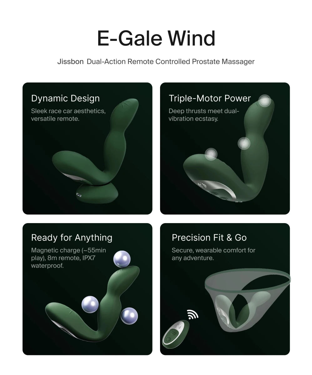 E-Gale Wind — фото 3