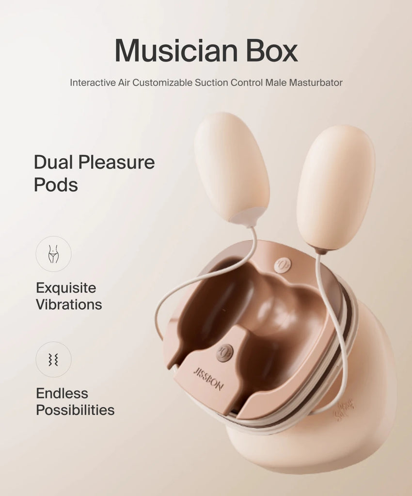 Musician Box — другой ракурс